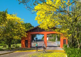 UCI Gran Fondo transforma o Vale Europeu Catarinense em cenário das grandes voltas europeias